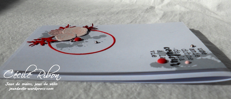 Carte CTD479 - DSCN5147