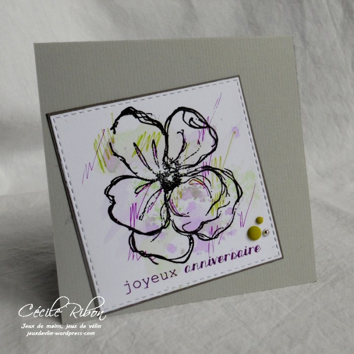 Carte CTD480 - DSCN5299