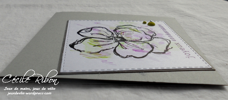 Carte CTD480 - DSCN5300