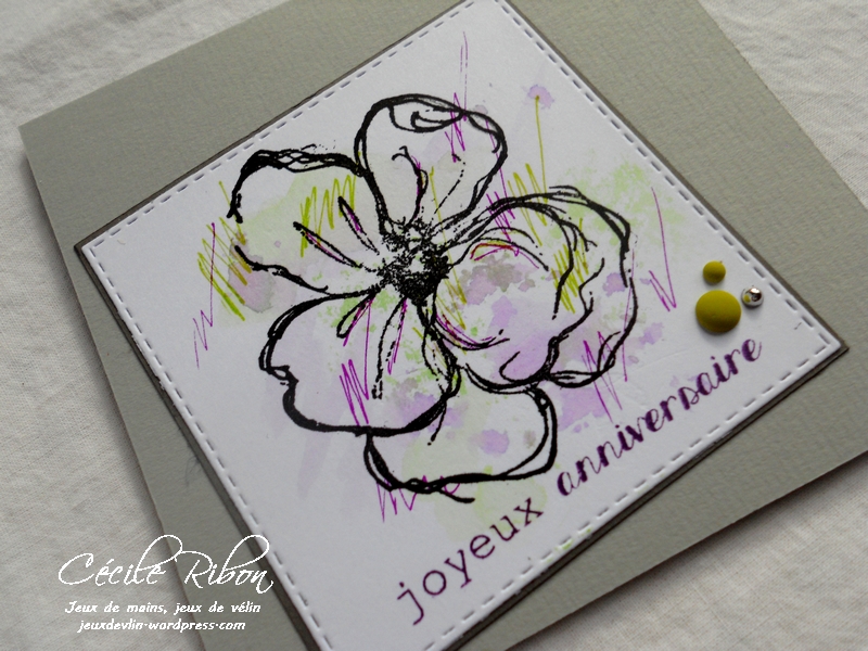 Carte CTD480 - DSCN5309