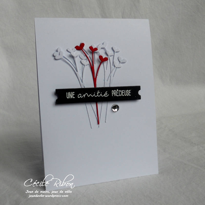 Carte CTS258 - DSCN5229