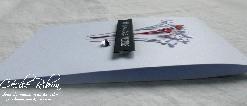 Carte CTS258 - DSCN5234