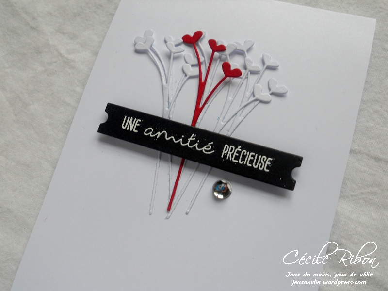 Carte CTS258 - DSCN5237