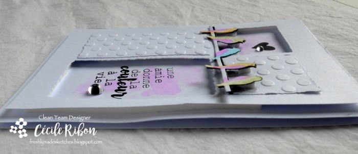 Carte FMS323 - DSCN5095