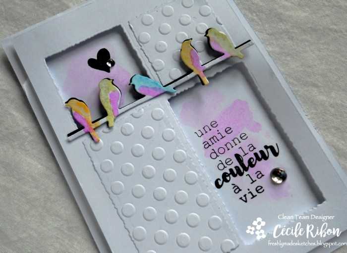 Carte FMS323 - DSCN5100