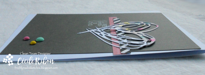 Carte FMS324 - DSCN5195