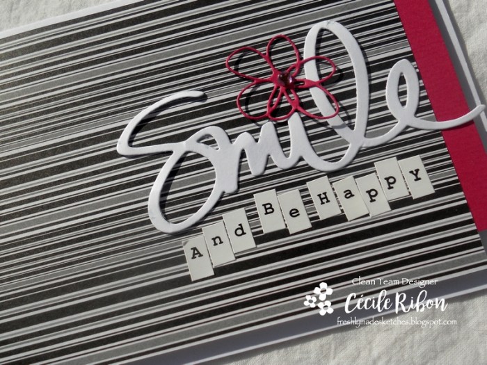 Carte FMS326 - DSCN5412