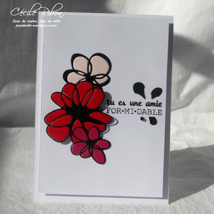 Carte FUSION29 - DSCN5129