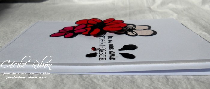 Carte Fusion29 - DSCN5131