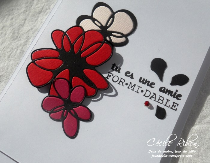 Carte Fusion29 - DSCN5135