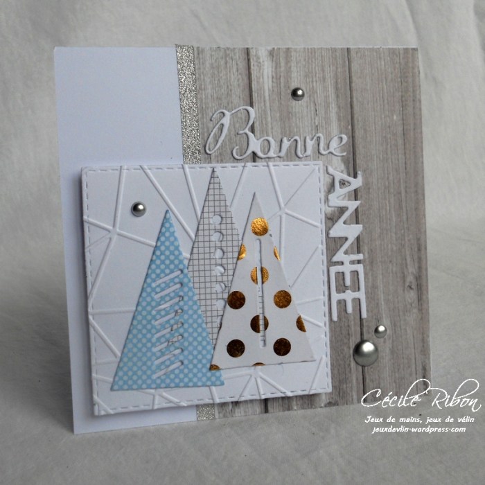 Carte Karilou - DSCN5000