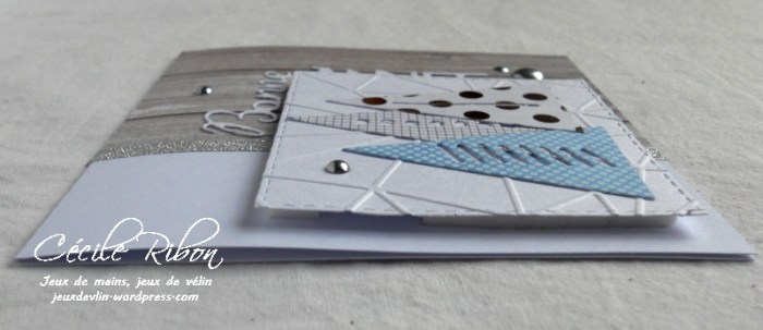 Carte Karilou - DSCN5004