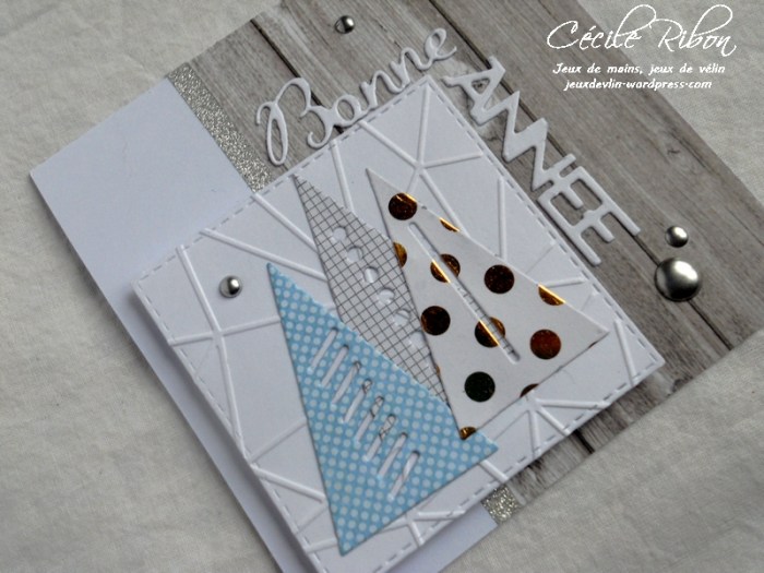 Carte Karilou - DSCN5007