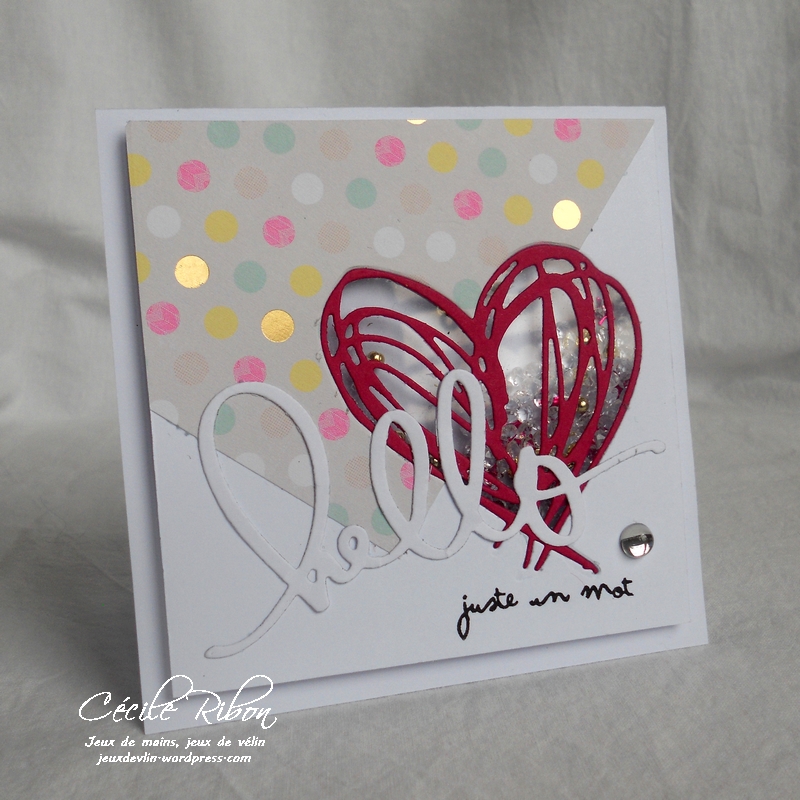 Carte Maniak171 - DSCN5159