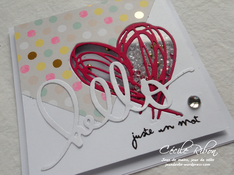 Carte Maniak171 - DSCN5165