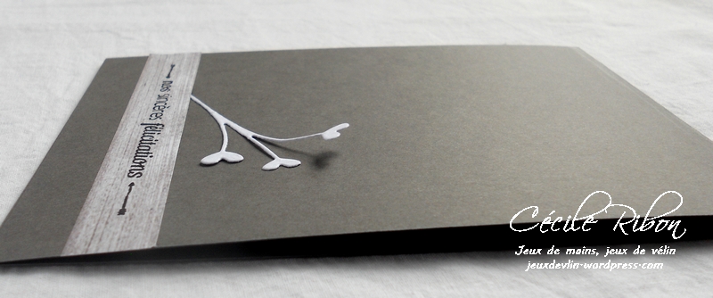 Carte Maniak172-1 - DSCN5262