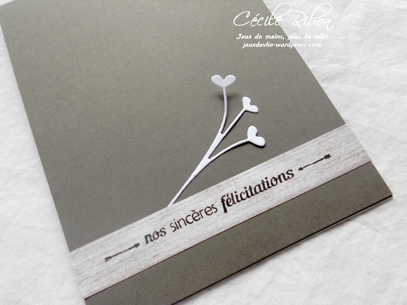 Carte Maniak172-1 - DSCN5264