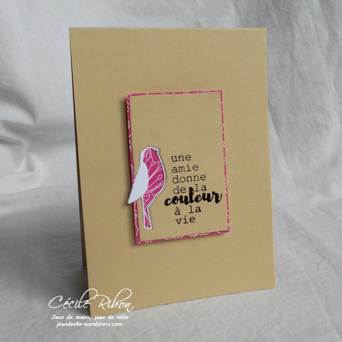 Carte Maniak172-3 - DSCN5286