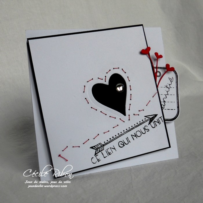 Carte PCC521 - DSCN5078