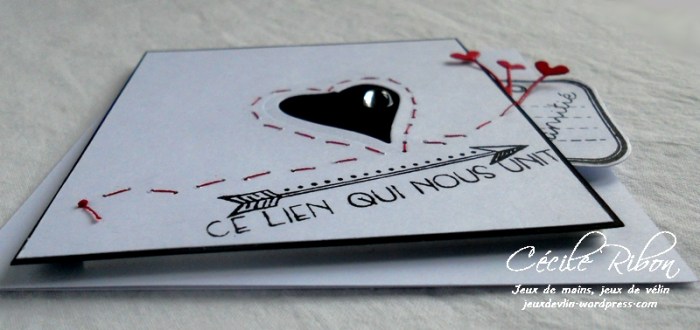 Carte PCC521 - DSCN5080