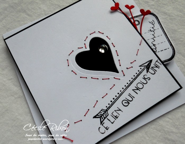 Carte PCC521 - DSCN5083