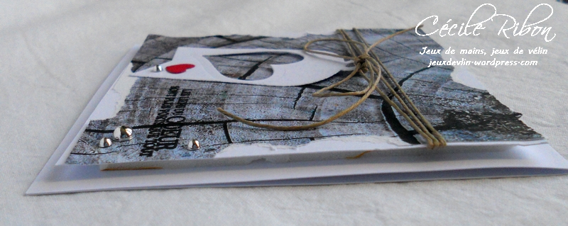 Carte PCC522 - DSCN5221