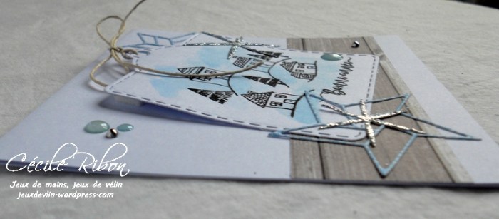 Carte Pimprenelle38 - DSCN5031