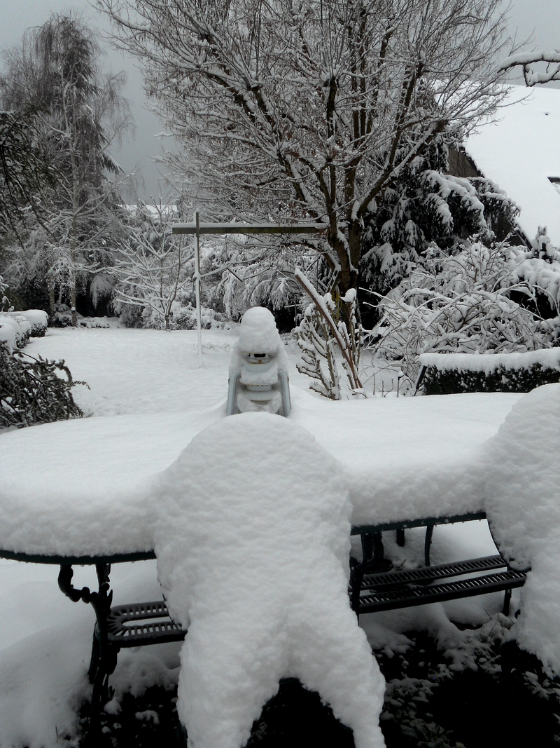 Neige fév 2018 - DSCN5103