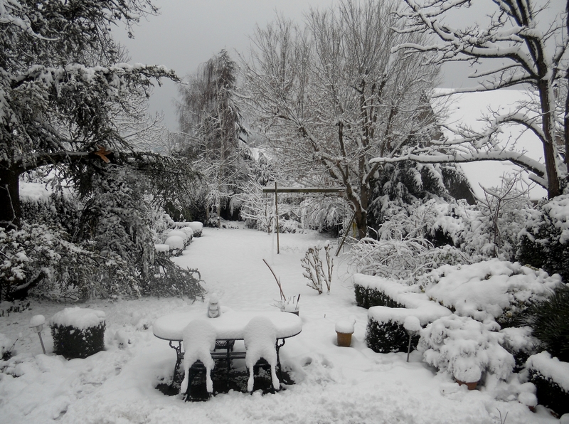 Neige Fév 2018 - DSCN5123