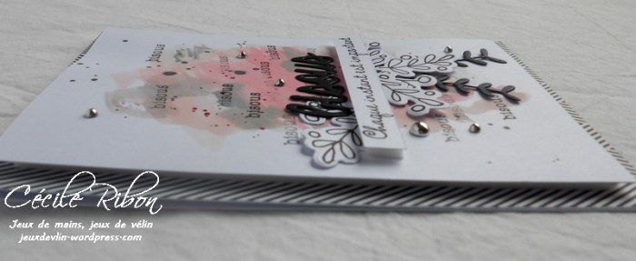 Carte AID30 - DSCN5590