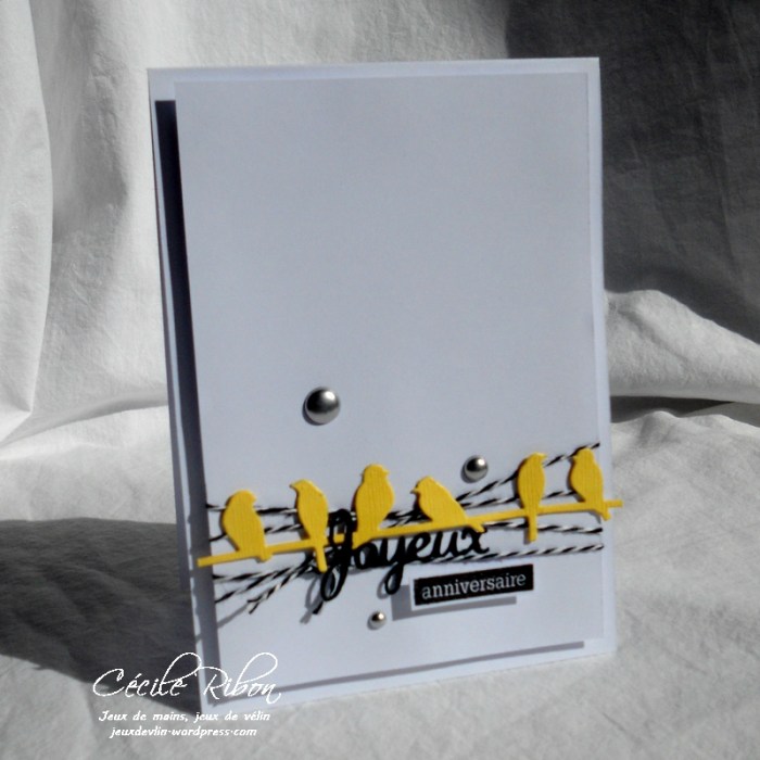 Carte CTS262 - DSCN5701