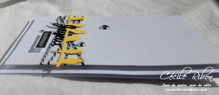 Carte CTS262 - DSCN5706