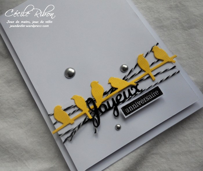 Carte CTS262 - DSCN5711