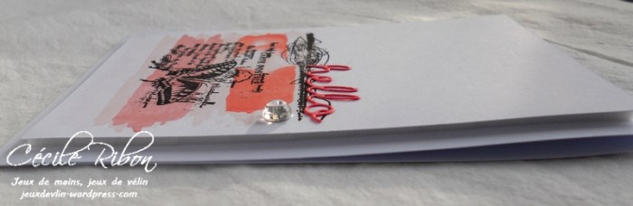 Carte CTS264 - DSCN5842