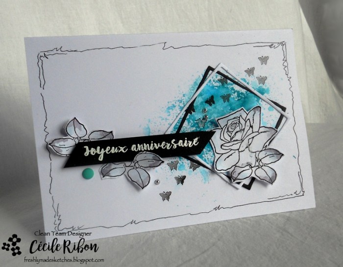 Carte FMS328 - DSCN5665