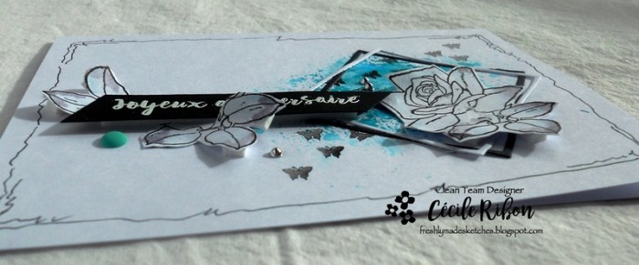 Carte FMS328 - DSCN5671