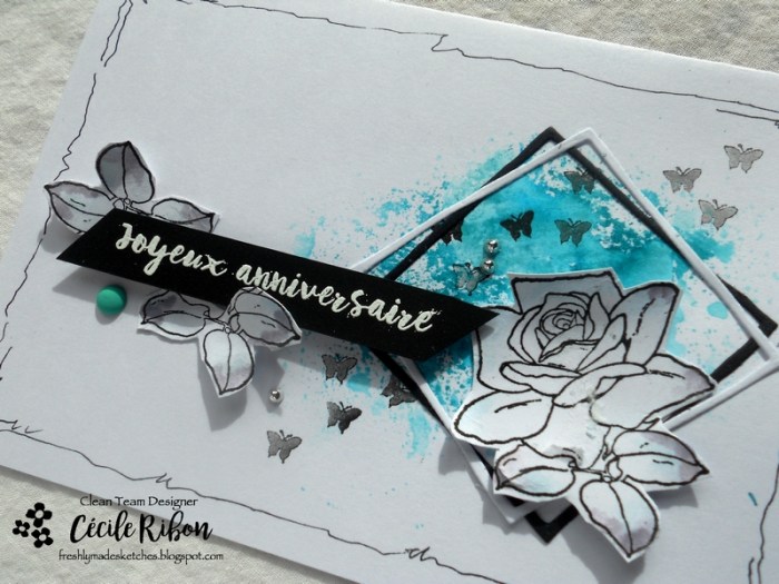 Carte FMS328 - DSCN5675