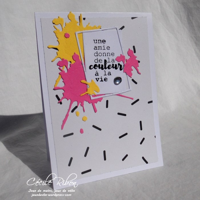 Carte FUSION32 - DSCN5803