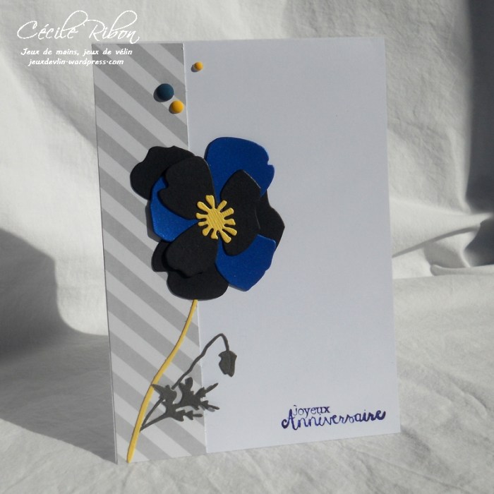 Carte LittleScrap71 - DSCN5473