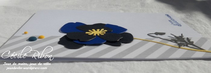 Carte LittleScrap71 - DSCN5476