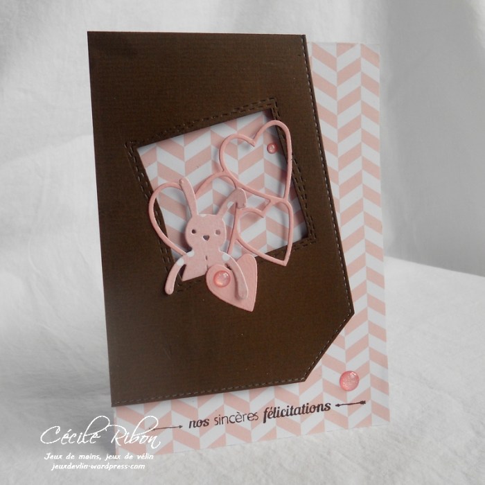 Carte PCC526 - DSCN5639