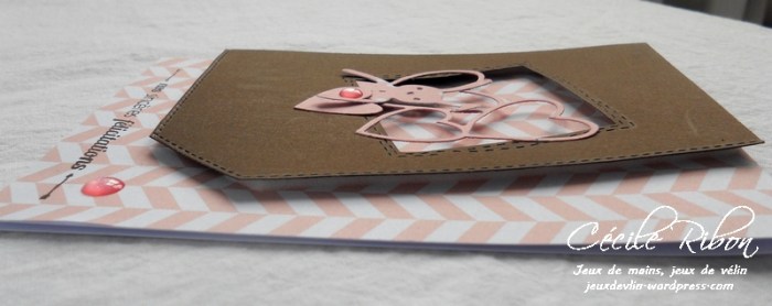 Carte PCC526 - DSCN5643