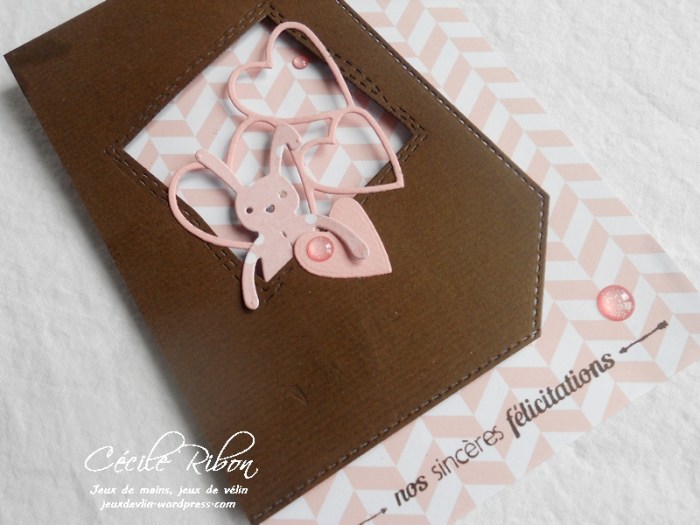 Carte PCC526 - DSCN5652