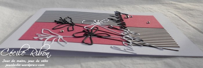 Carte PCC528 - DSCN5829