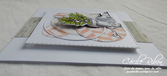 Carte AID31 - DSCN5784