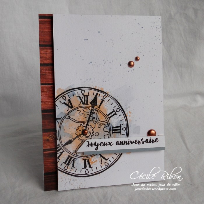 Carte CTS265 - DSCN5948