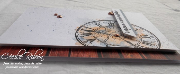 Carte CTS265 - DSCN5953