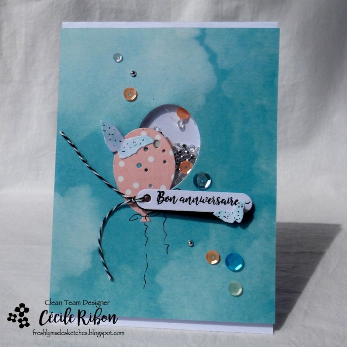 Carte FMS333 - DSCN6065