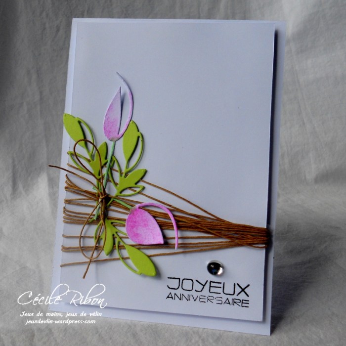 Carte FUSION33 - DSCN6001