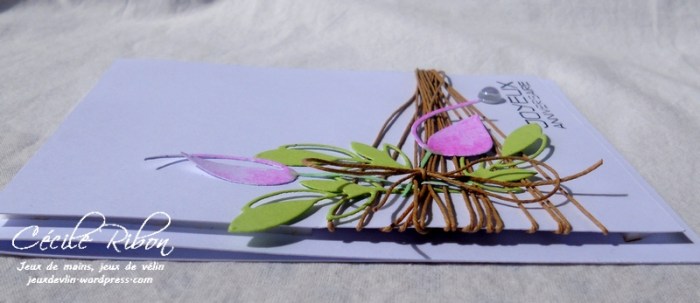 Carte FUSION33 - DSCN6008